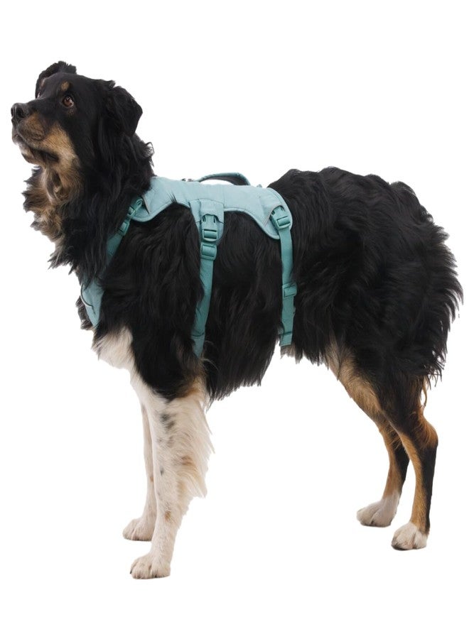 Ruffwear, Web Master, Multi-Use Support Dog Harness, Hiking and Trail Running, Service and Working, Everyday Wear, River Rock Green, Medium - Image 4